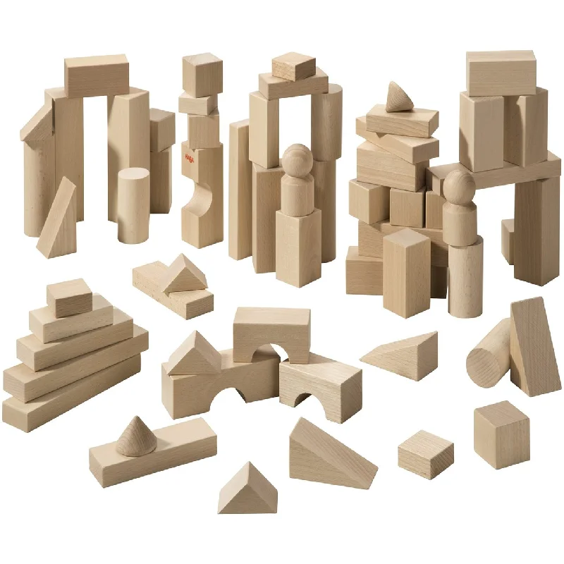 Basic Building Blocks 60 Piece Large Starter Set